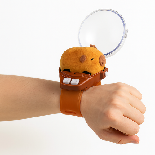 Reloj con Control Remoto